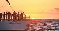 Bootsfahrt mit Abendessen bei Sonnenuntergang in Na Pali