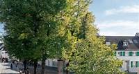 ArborSystem – die Komplettlösung für Stadtbäume