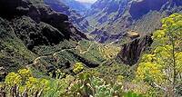 Schätze von Gran Canaria: Tour in kleiner Gruppe