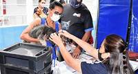 Em junho Próximo mutirão de castração de cães e gatos será realizado no Santa Felícia