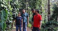 Private Mercara Coorg Coffee and Spice Estate Tour
