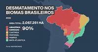 Desmatamento nos biomas brasileiros cresce 22% em 2022, aponta levantamento do MapBiomas