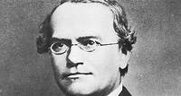 Gregor Mendel, el padre de la genética