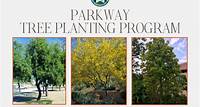 Parkway Tree Planting Program