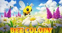 Bee Colony