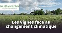 Se réinventer en Nouvelle-Aquitaine Les vignes face au changement climatique diffusé le 19/05 | 14 min