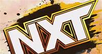 NXT 04.06.2024 Risse