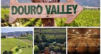 Douro Valley Tour: Weinprobe, Flussfahrt und Mittagessen ab Porto