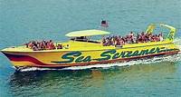 Clearwater Beach Day Tour e Dolphin Watch Boat saindo de Orlando