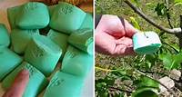This Is Why You Should Put Irish Spring Soap In Your Garden! - David Avocado Wolfe