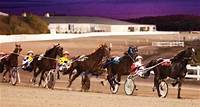 Live Horse Racing Simulcast & Online Replays | Hollywood Casino at the Meadows