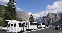 Yosemite Highlights Small Group Tour