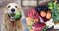 5 Easy To Make Raw Dog Food Recipes - Dogs Naturally