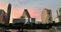 Kongress-Fledermaus-Brücke Kayak-Tour in Austin
