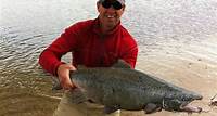 Fish Facts: Landlocked Salmon (Salmo salar sebago) - Orvis News