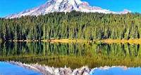 Excursão diurna para grupos pequenos no Parque Nacional Mount Rainier saindo de Seattle R$ 752
