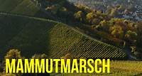 Mammutmarsch Stuttgart – 30/60 KM