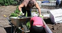 Community Garden Helps Boost Food Security in Penticton