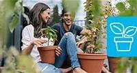Pflanzen für Garten, Balkon & Zuhause kaufen | ALDI ONLINESHOP