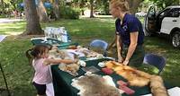 Enjoy hands-on nature activities, see live animals and more at GroveFest at Spiegel Grove