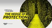 The Hedge of Protection
