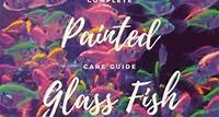 Glass Fish (Painted Glass Fish) Care & Overview