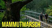 Mammutmarsch Kopenhagen – 100 KM