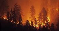 Insurance for wildfires