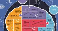 Concussion: Infographics & Fact Sheets | Brain Injury Association