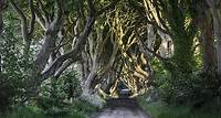 Game of Thrones und Giant's Causeway - Ganztägige Tour ab Belfast