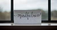 Mindfulness: saiba o que é e como aplicar no seu dia a dia | Zenklub