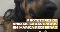 Mumbucão: Conheça o novo programa de apoio a protetores e adotantes de cães e gatos do município - Prefeitura de Maricá
