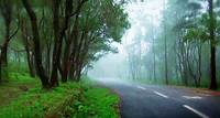 Ponmudi Hills in Thiruvananthapuram | Trek to Varayadumotta Kerala Tourism | Kerala Tourism