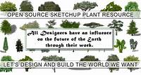 Sketchup Plants, Trees, And Shrubs Archive