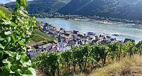 Rhine Valley Wine Tasting Tour from Frankfurt and Mainz Grape Escape Rhine Valley - Personal wine tours from Frankfurt & Mainz