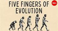 Five fingers of evolution - Paul Andersen