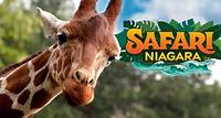 Up to 39% Off Admission to Safari Niagara for 2-4 People
