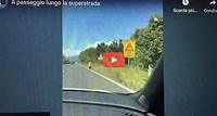 Una donna a spasso per la superstrada – GUARDA IL VIDEO