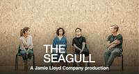 The Seagull - National Theatre at Home