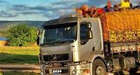 PRF flagra transporte de oito pessoas em cima de caminhão em Petrolândia (PE)