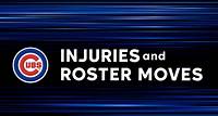 Cubs injuries and roster moves