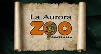 Hotels near La Aurora Zoo