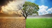 FOLHABV AGRO Como as mudanças climáticas podem interferir no cenário agropecuário?