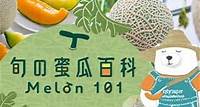 Melon 101 2024