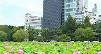 【2023年最新優惠】APA飯店 - 京成上野站前 (APA Hotel Keisei Ueno-Ekimae) | 東京住宿推薦 - Agoda