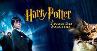 Harry Potter à l'école des sorciers (version longue)