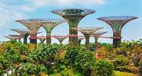 Entrada a los Jardines de la Bahía visitaréis una de las grandes atracciones de Singapur. Árboles-botella, baobabs y más de 500000 especies os esperan.