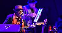 Elvis Costello’s first performance in Japan in 8 years leaves everyone feeling euphoric.