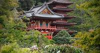 Everything You Need to Know About The Japanese Tea Garden
