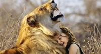 Löwe, Brüllen, Afrika, Tier, Wildkatze